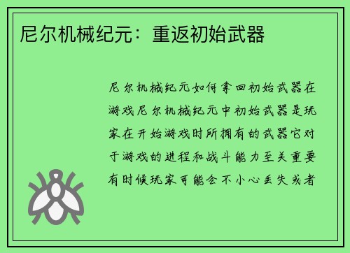 尼尔机械纪元：重返初始武器